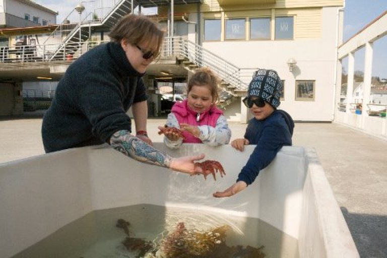 image1 (7)